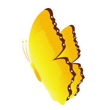黄色蝴蝶卡通手绘图