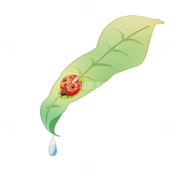 源文件下载【趣麦麦图】惊蛰万物复苏生机昆虫花草春天动物节气