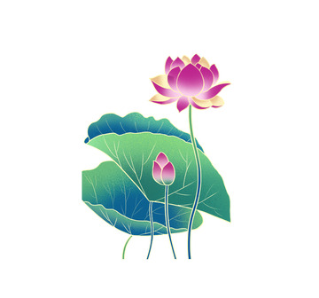 国潮荷花荷叶花骨朵手绘插画