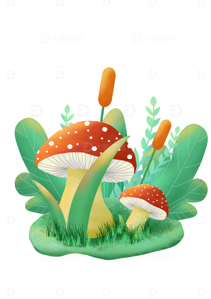 惊蛰节气元素蘑菇植物