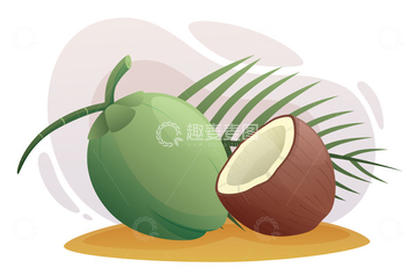 源文件下载【趣麦麦图】扁平简约椰子热带水果矢量椰果