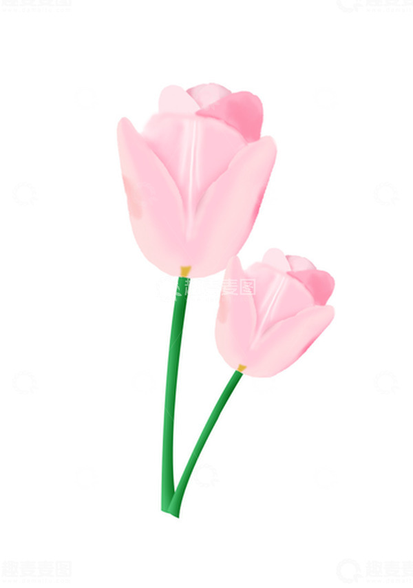 源文件下载【趣麦麦图】-春暖花开郁金香