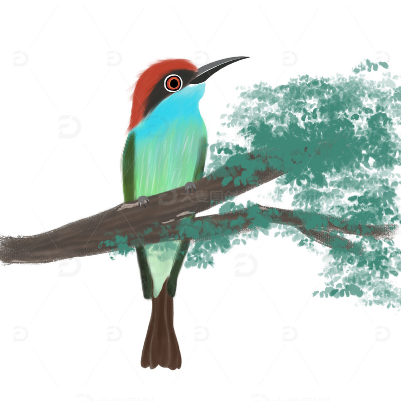 春天早春鸟类小鸟树枝动物装饰水墨风