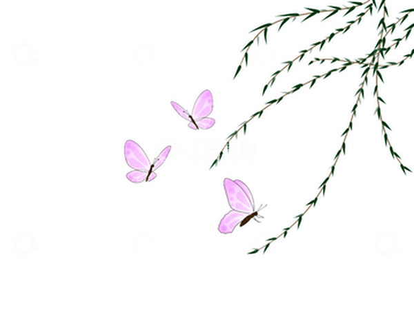 源文件下载【趣麦麦图】惊蛰唯美柳树枝蝴蝶组合