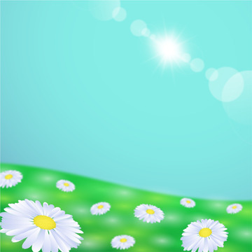 春天花朵野花雏菊草地户外背景光晕