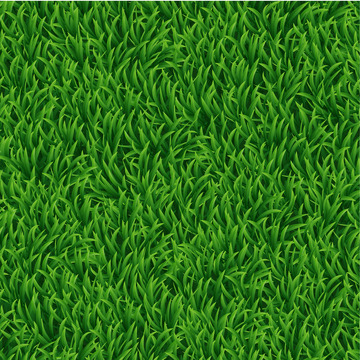 草地背景草地质感草地纹理草坪球场草地春天