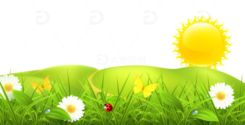 春天春季惊蛰花草蝴蝶瓢虫太阳春分