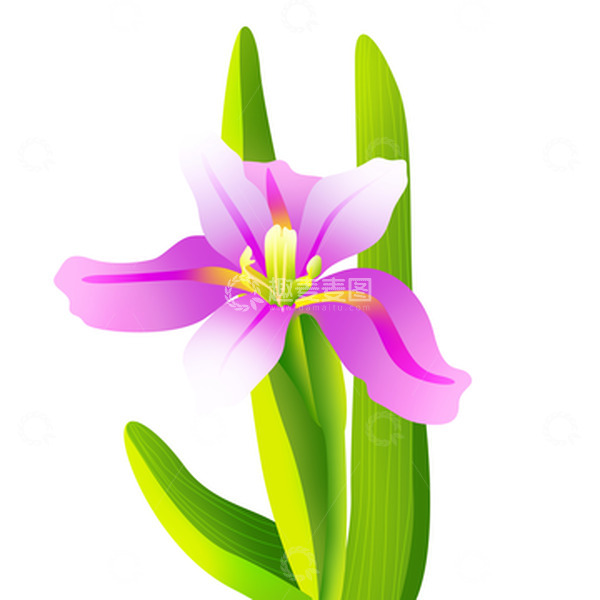 源文件下载【趣麦麦图】简约手绘春分花朵植物元素