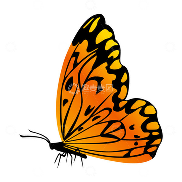 源文件下载【趣麦麦图】-春天蝴蝶春分昆虫手绘卡通蝴蝶扁平