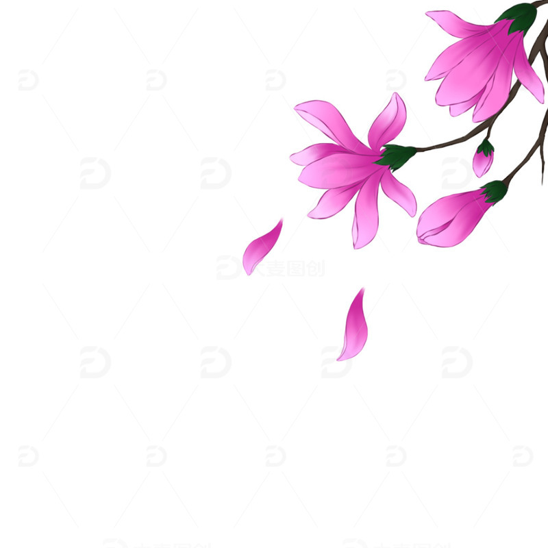 源文件下载【趣麦麦图】春天 植物 玉兰花