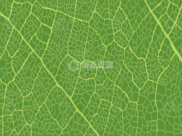 源文件下载【趣麦麦图】-春天绿叶纹理质感树叶纹路