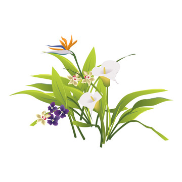 春天花朵花束花丛矢量元素扁平元素春分