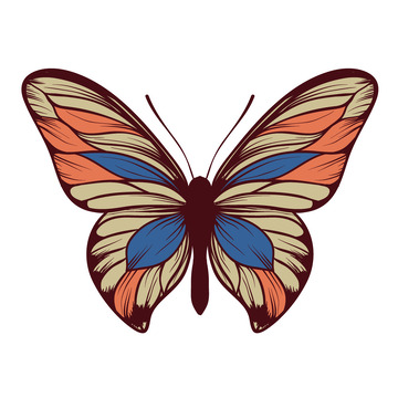 春天蝴蝶卡通蝴蝶昆虫春季春分矢量元素