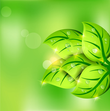 春天绿色背景梦幻光点树叶露珠简约背景
