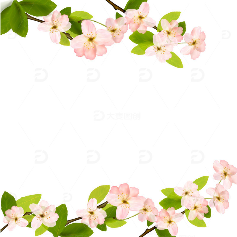 春天花朵樱花桃花手绘花朵树枝花瓣