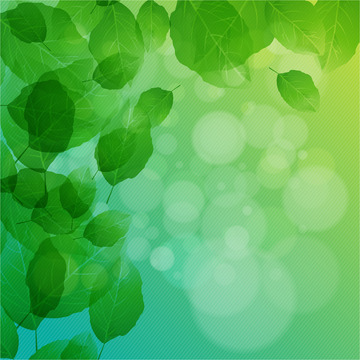 春天梦幻绿色背景树叶光斑春季