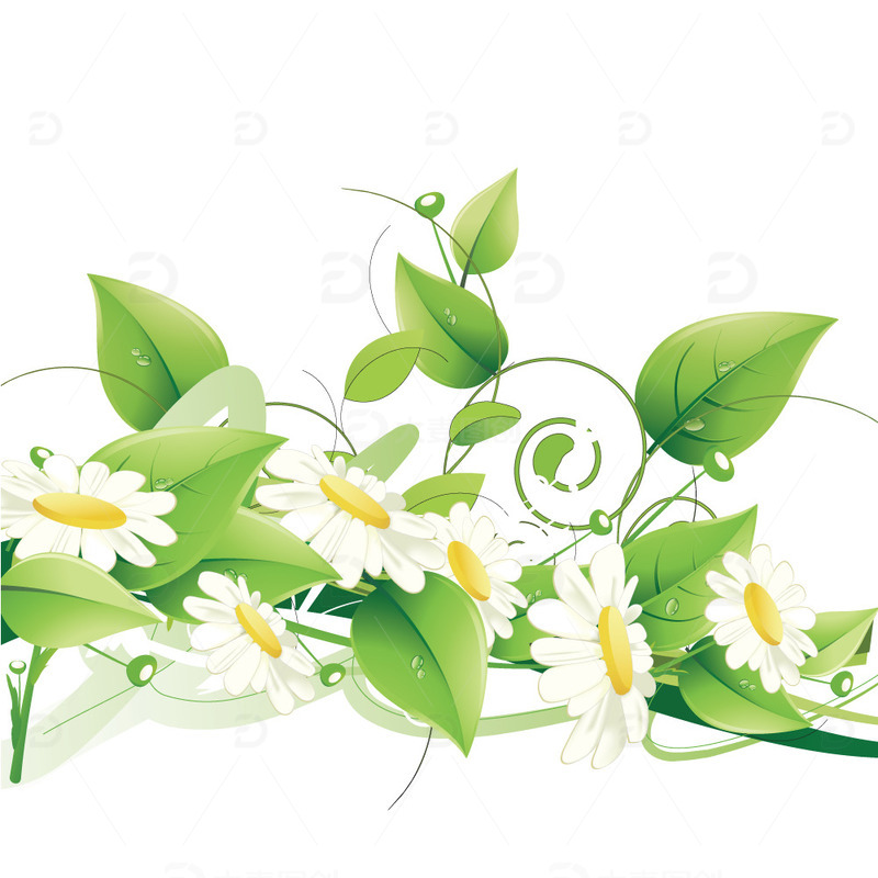 春天春季春分花朵藤蔓绿叶梦幻矢量花朵