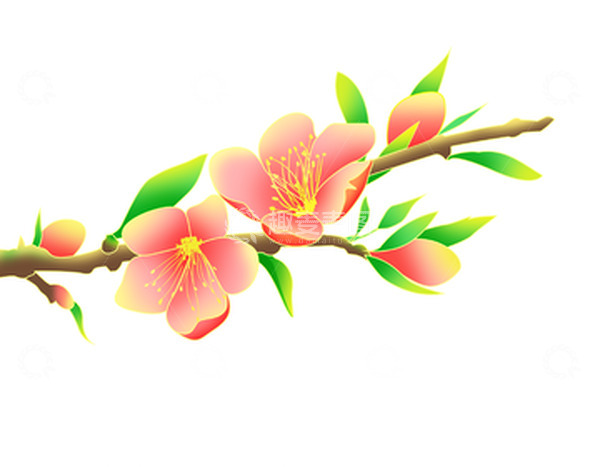 源文件下载【趣麦麦图】简约手绘春天桃花春分节气元素