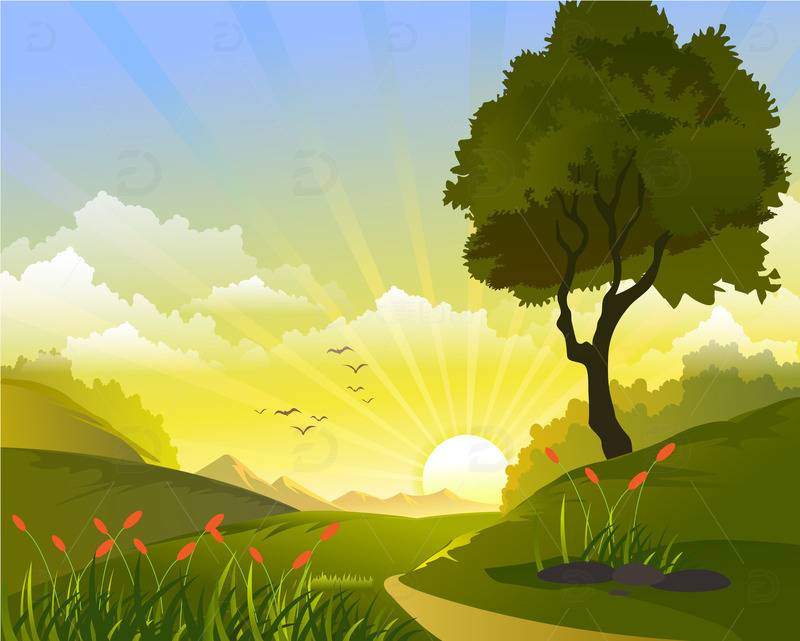 春天春季夕阳草地树木春天场景天空