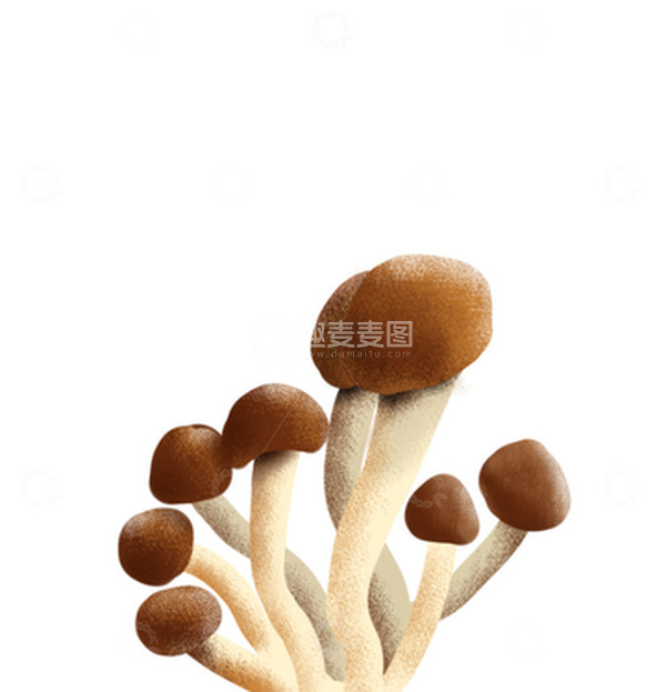 源文件下载【趣麦麦图】手绘蘑菇野生菌