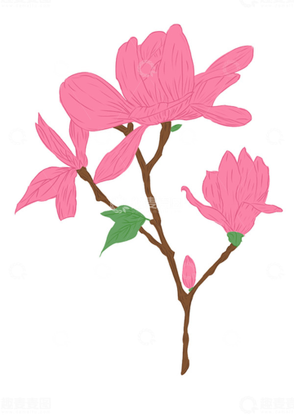 源文件下载【趣麦麦图】粉色小清新花朵
