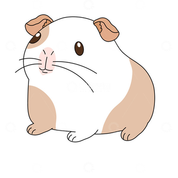 源文件下载【趣麦麦图】可爱卡通豚鼠