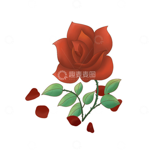 源文件下载【趣麦麦图】玫瑰花 植物元素 红玫瑰