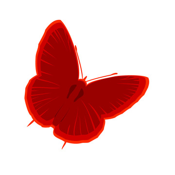 春天春季蝴蝶矢量扁平红色蝴蝶
