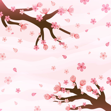 春天春分树枝花朵桃花樱花粉色背景