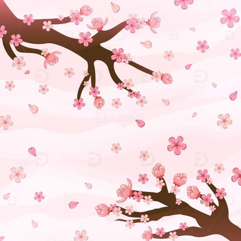 春天春分树枝花朵桃花樱花粉色背景