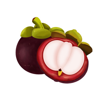 手绘水果山竹元素