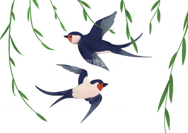 源文件下载【趣麦麦图】春天 春季 燕子 柳条 微风 柳枝 春风