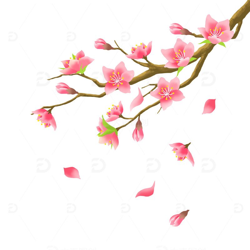 源文件下载【趣麦麦图】粉色樱花唯美落樱