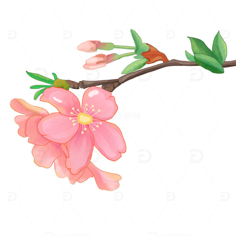 粉色桃花手绘元素