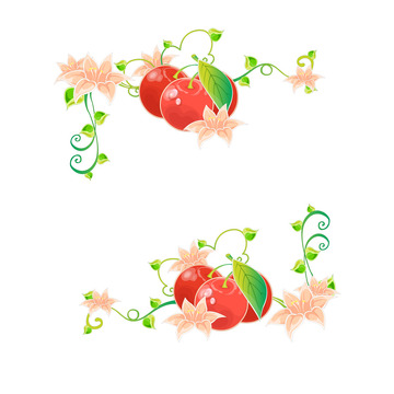 春天春季樱桃鲜花藤蔓水果