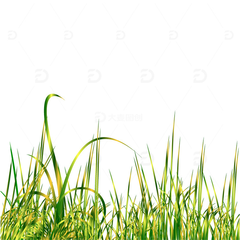 春天春季草地草丛装饰元素草地