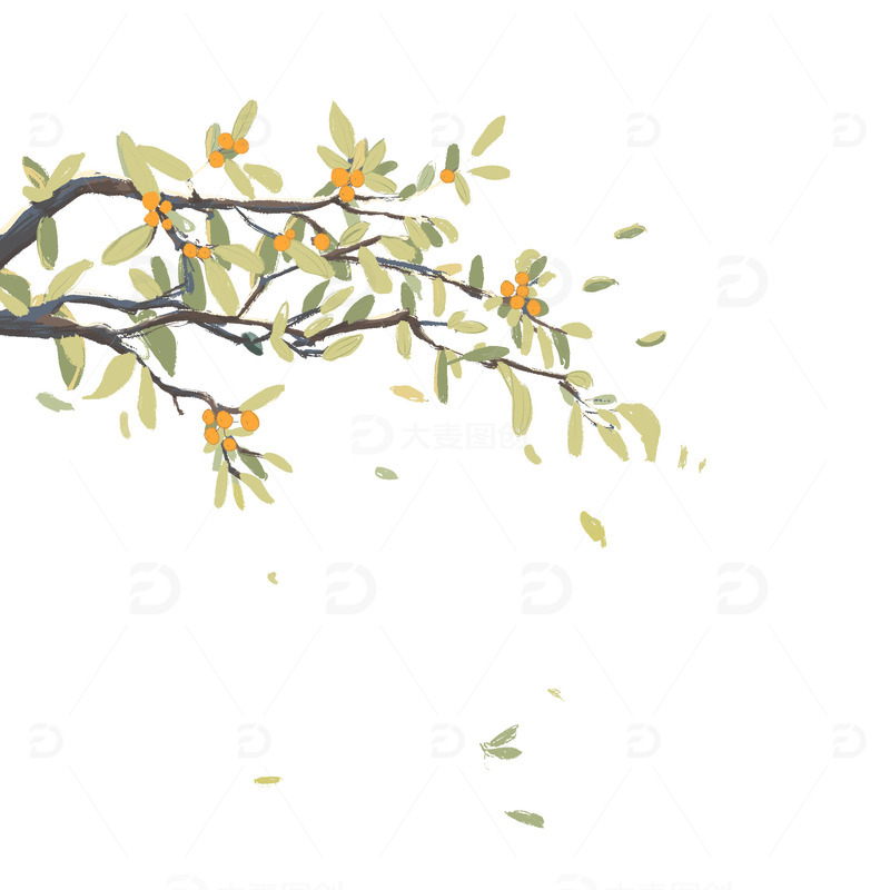 源文件下载【趣麦麦图】枇杷 枇杷树 果树