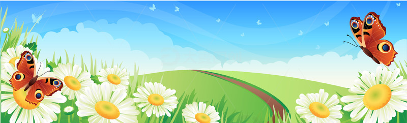 春天花朵春季蝴蝶草地草坪春天场景