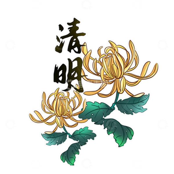 源文件下载【趣麦麦图】手绘菊花清明插画