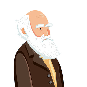 歪果仁  卡通 插画 人物 扁平风格