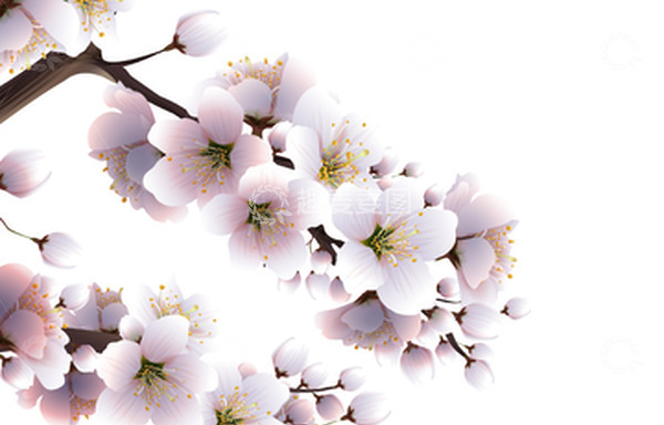 源文件下载【趣麦麦图】-春天春季树枝花朵花枝桃花梨花