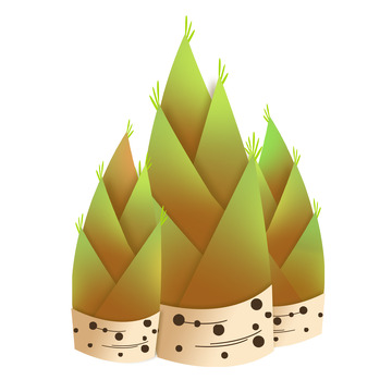 春分竹笋手绘插画元素