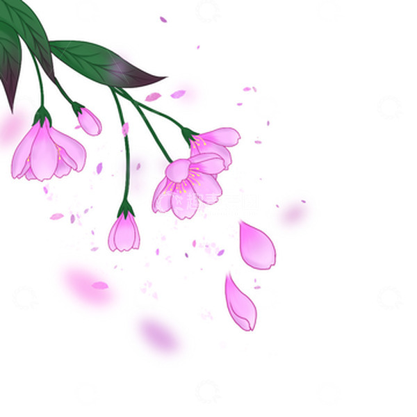 源文件下载【趣麦麦图】樱花 花瓣 落花