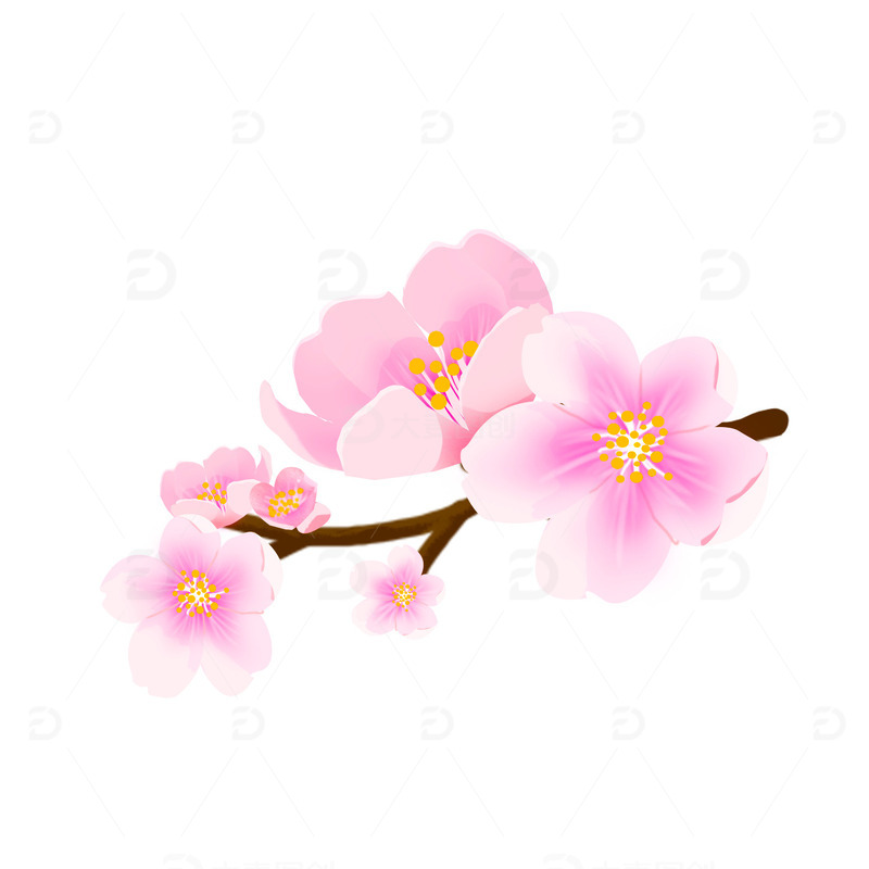 春天粉色的樱花绿叶鲜花元素