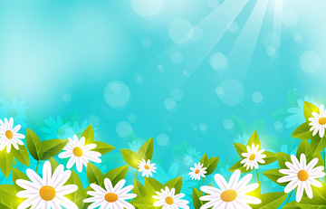 春天花朵阳光雏菊光斑绿叶