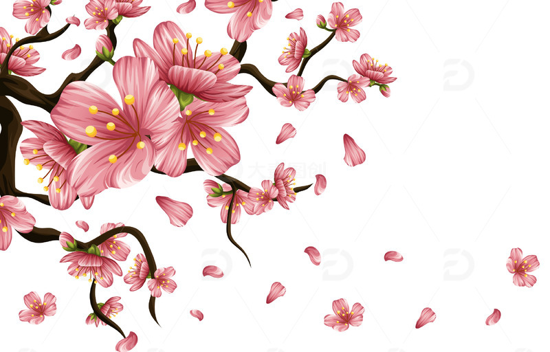 春天花朵花瓣树枝花枝飘落漂浮桃花樱花