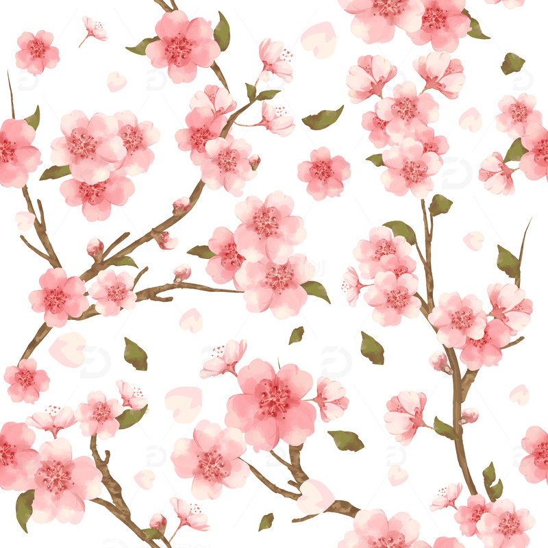 春天春季花朵桃花樱花梅花树枝花枝