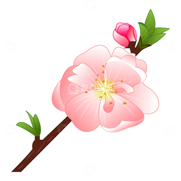 源文件下载【趣麦麦图】春分春天清新插画樱花花苞元素