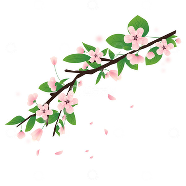 源文件下载【趣麦麦图】春天樱花树枝花瓣飘落手绘装饰元素