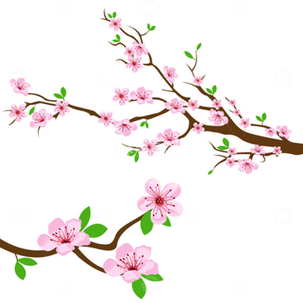 源文件下载【趣麦麦图】-春天春季花朵桃花樱花花枝枝头